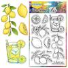 PVC Plastic Clear Stamps for DIY Scrapbooking Photo Album Decorative Cards Making Lemon 160x110mm