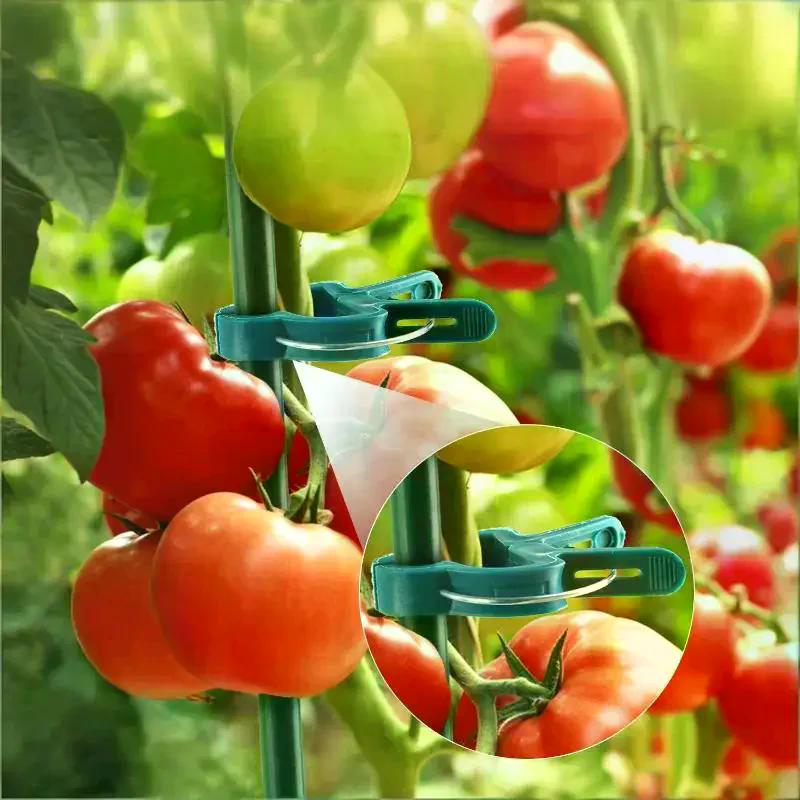 Plant Fixed Clips Reusable Garden Greenhouse Vine Climbing Clamp Flower Tomato Support Fastener No Break Firm Hold