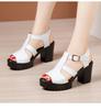 Fashion Block Heel Platform Sandals Women Shoes Summer 2026Patent Leather High Heels Sandals Ladies Office Sandal Big Size32-43