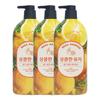 Real Garden Yuzu Vitamin Vitality Body Wash 900g X3