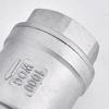 Stainless Steel Vertical Check Valve