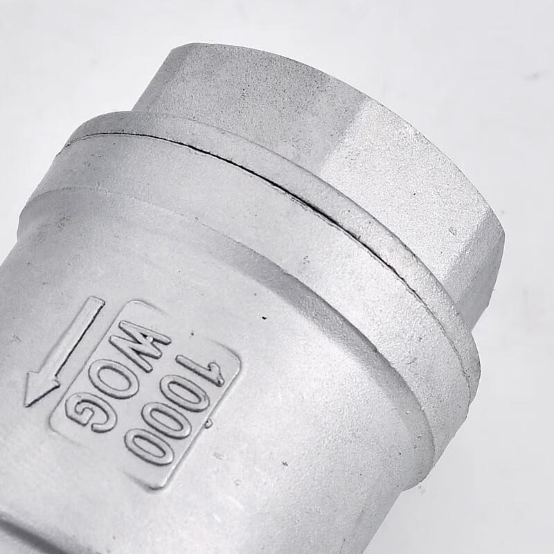 Stainless Steel Vertical Check Valve