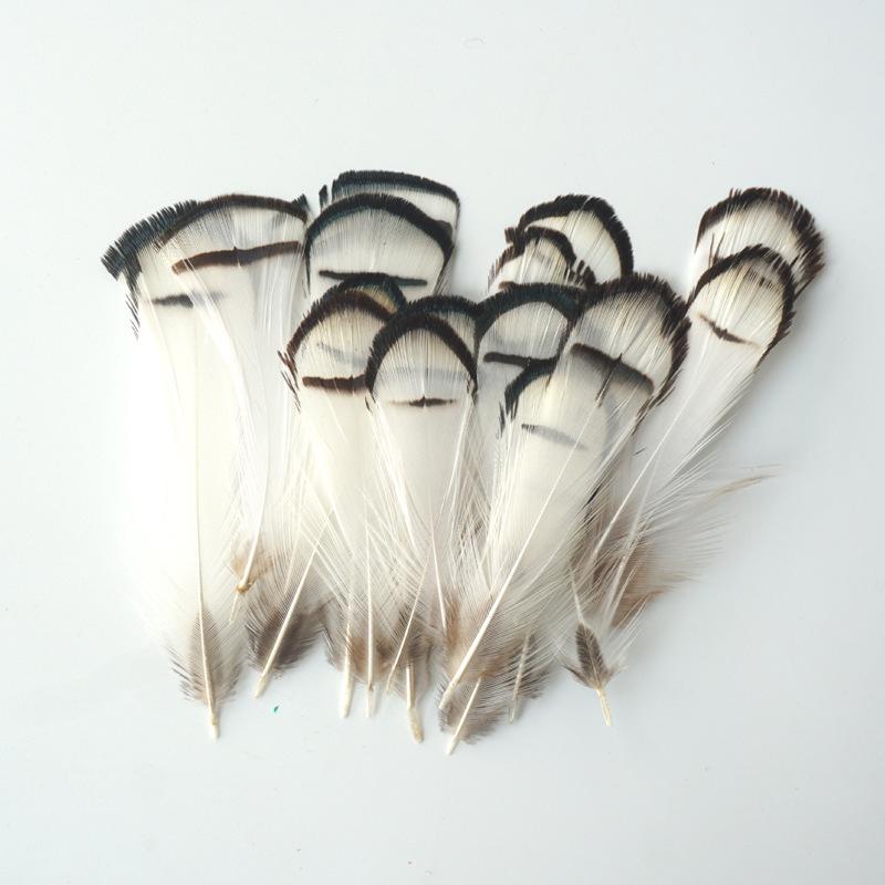 Pheasant Hair Copper Chicken White Head Slices 4-8Cm Small Feather Crafts Decorative Paintings Accessories Decorative Materials