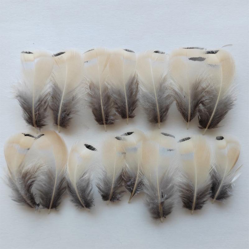 50Pcs- NATURAL Beige &Grey Chukar Partridge Hen Feathers  3-7CM Long for Craft Millinery Fly Fishing,4 Models Available