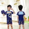 Tuolangshi Kids' Cartoon Dinosaur Split Swimsuit Set