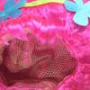 Kinder Troll Stil Festival Party Perücke Für Cartoon Cosplay Mit Pinker Kopfschmuck Kappe
