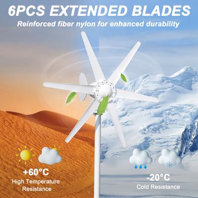 Home Wind Turbines 800W 12V/24V Generator, 6-Blade Fan Lantern Generator Kit Kit, Electromagnetic Electricity Producer Equipment Small