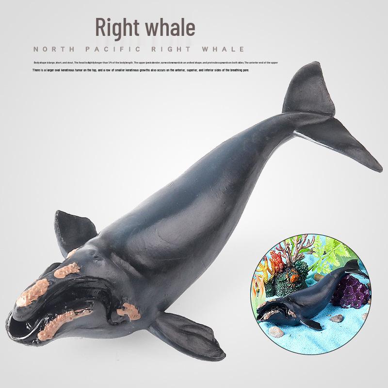 Children's Marine Animal Toy: Whale, Shark, Humpback Whale Model