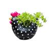 Mini Chicken Flower Pot Planter Craft Ornament for Garden Yard Home Micro Landscape Decor