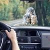 Accessoires d'intérieur – Jouets automobiles et décoration