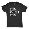 Mens It Is What It Is T Shirt Funny Sarcastic Accepting Coping Saying Tee for