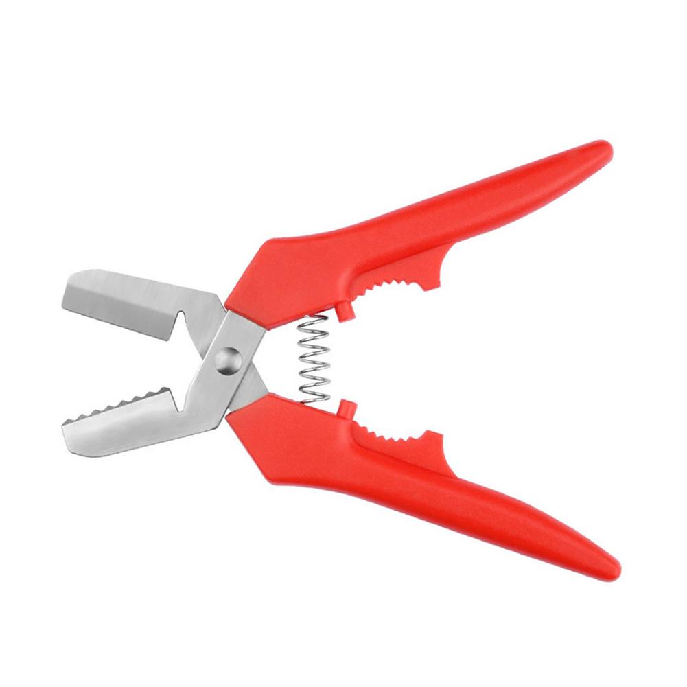 

Щипцы для колки орехов Клипса для грецких орехов Клипса для каштанов Зазубренные края для фундука Пекана Гинкго Каштана Грецкого ореха красный