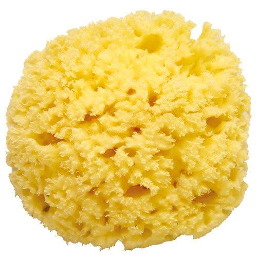 Pigeon natural sponge for bath yellow 1 piece (x 1) 10214