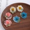 Summer Small Fresh Dried Flower Small Daisy Resin Earrings Girlish Lily Stud Earrings Sweet Cute Wind Daily Earrings