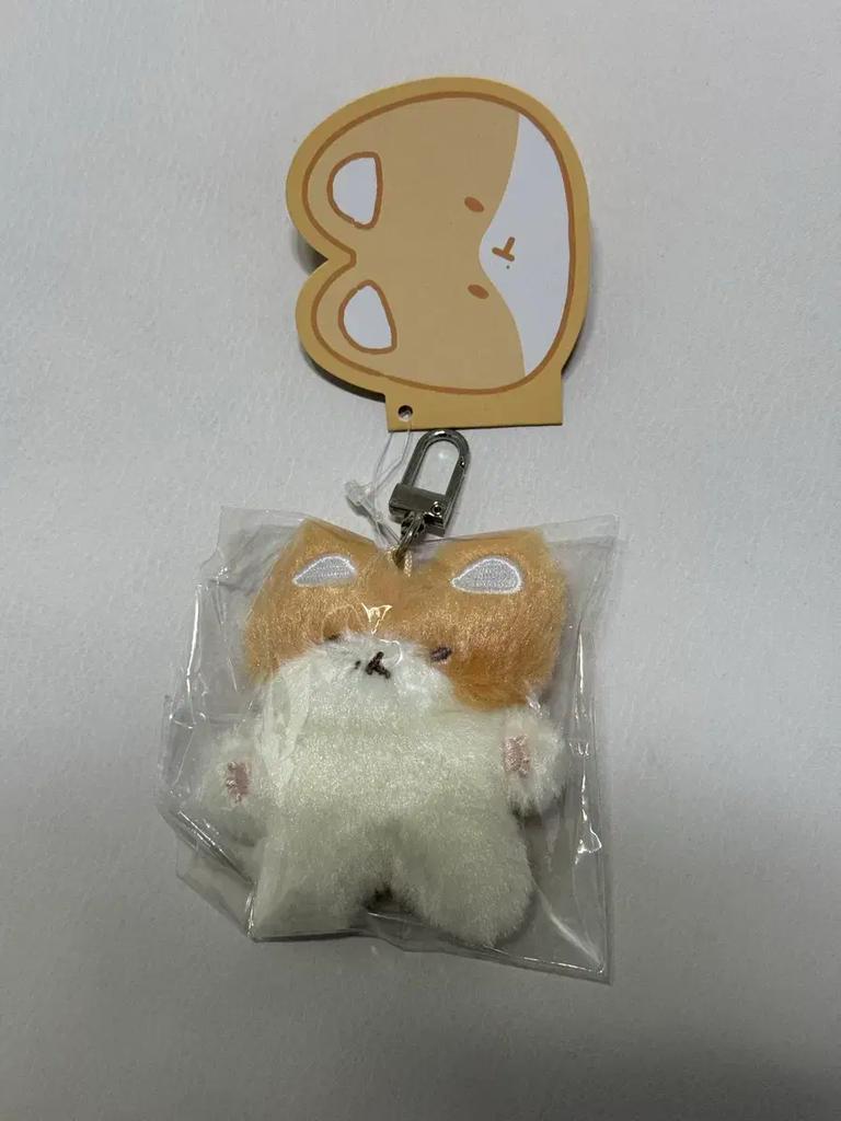 (Unopened) Don't lose Baekhyun's Taragi, Keyring