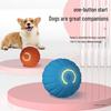 Electric Smart Dog Ball: Bite-Resistant, Wear-Resistant Self-Play Toy