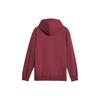 Puma Team Hoodie With Letter Print Long Sleeve Sweatshirt Men Hoodies Burgundy 625313-22