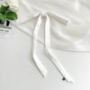 Luxury Skinny Narrow Short Woman's Silk Scarf Hairband Hair Strip Silk Ribbon Small Bag Handle Ribbon Scarves Kerchief Lady Tie