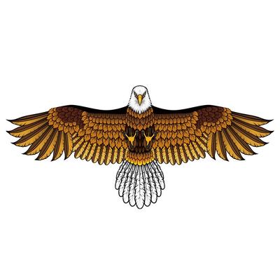 Su sporları – Uçurtmalar