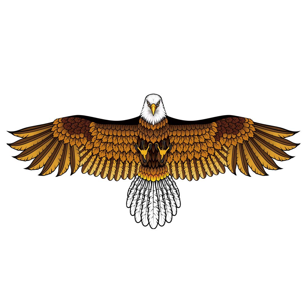 Воздушный змей Воздушный змей Воздушный змей Летающий Орел Змей Белоголовый орлан Орел Змей