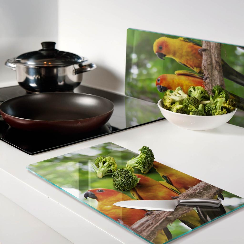 Set of Two Decorative Glass Kitchen Boards Parrot Branch 2X30X52 Cm