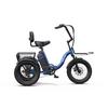 APEFOX RH30 Triciclo Elettrico Pieghevole per Adulti Motore 500W Batteria 48V 15Ah Autonomia 70-80km Triciclo da Pendolare a 3 Ruote