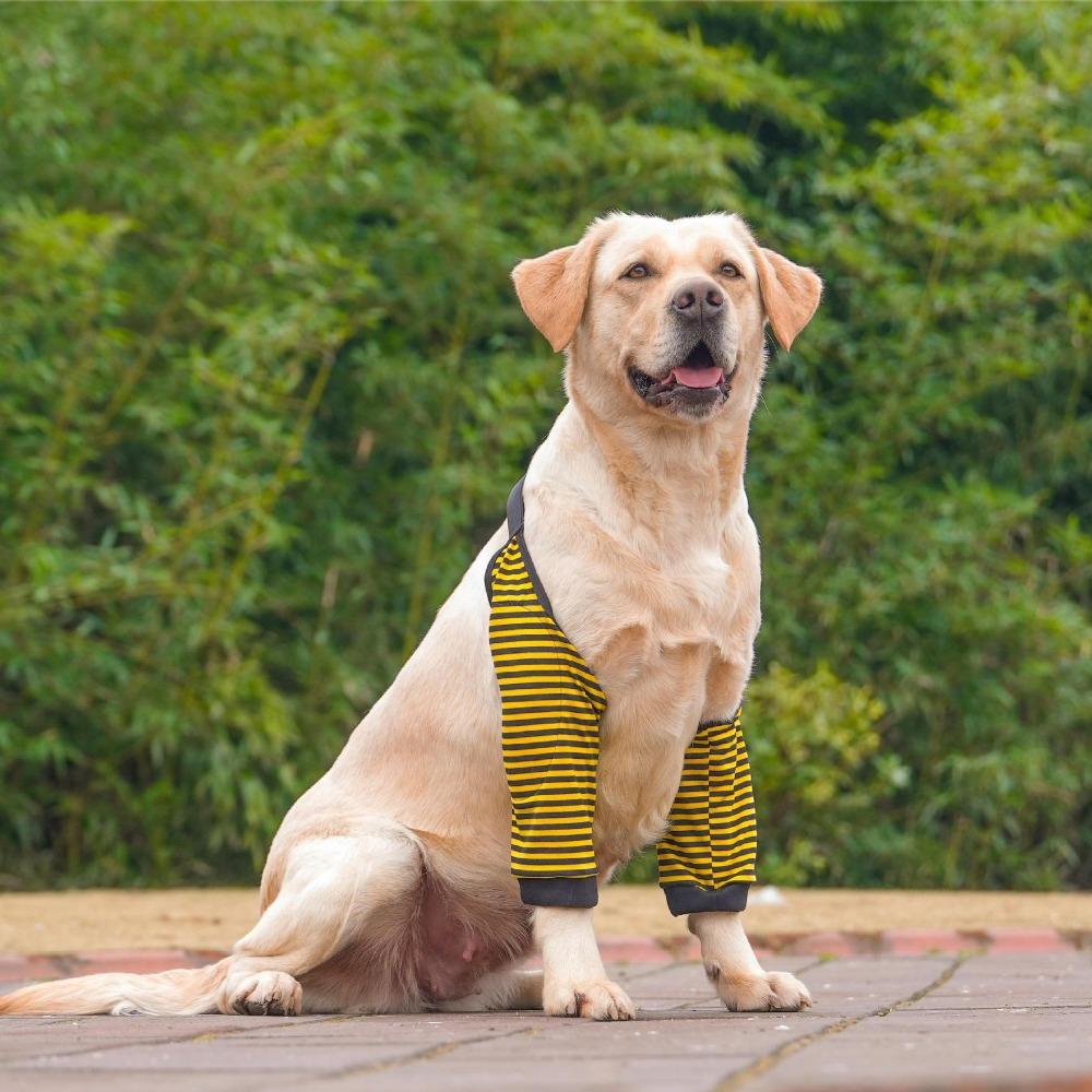 

Cotton Dog Elbow Sleeves Soft Pet Knee Pads Practical Dog Elbow Protector for Elbow Brace L-Style 6