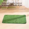Reusable Dog Toilet Dog Lawn Carpet: Artificial Grass Rug for Dog, Dog Toilet, Training Mat, Dog Toilet for Balcony Garden