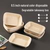 Eco-Friendly Disposable Pulp Food Container with PET Lid