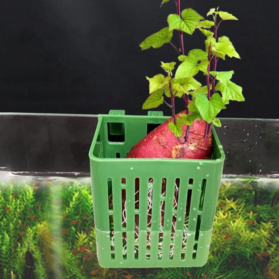 1/2/3/5/10Pcs Aquarium Plant Holder Top Hanging Fish Tank Planter Pot with Hook Platic Aquatic Plant Cup for Aquascape Decoration