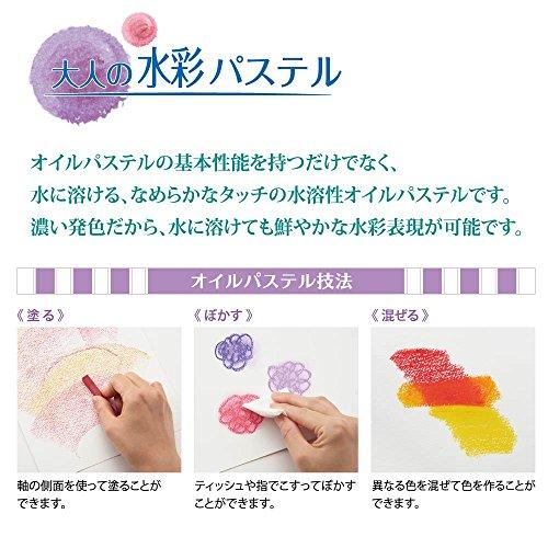 PENTEL GHW1-24 Watercolor Pass Vistage 24 Colors W