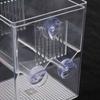 Square Aquarium Fish Breeding Box Clear Fish Tank Hatching Incubator  Aquarium