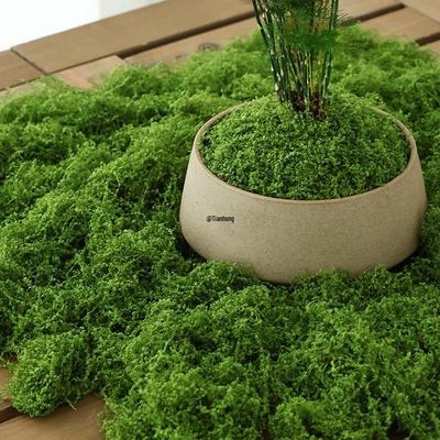 Bionischer Moosrasen: Künstliche Mikro-Landschaftsornamente für Rasen, Bonsai und Pflasterung.