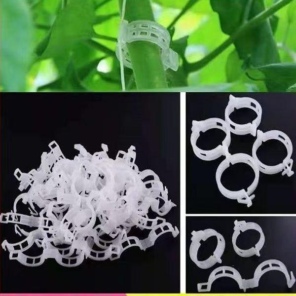 Greenhouse Vine Clip for Plant Support: Secure Your Vegetables, Fruits, and Vines with Ease