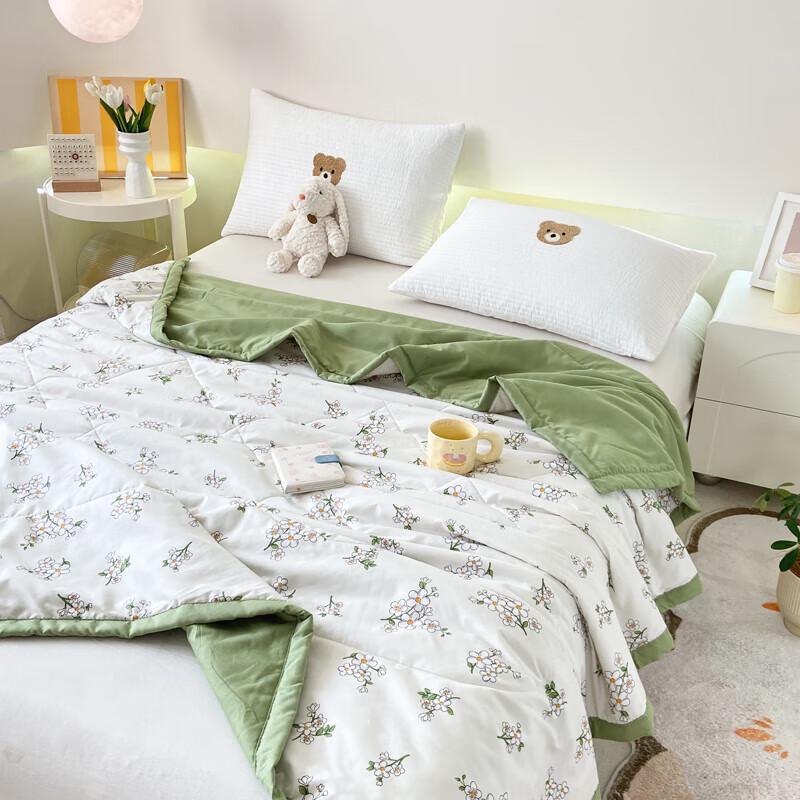 Paul David All-Season Skin-Friendly Quilt