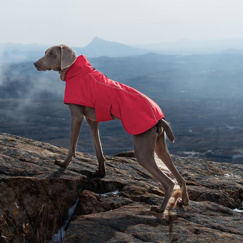 Outdoor Dog Jacket Windproof Waterproof Large Breeds Reflective Adjustable Coat Weimaraner Retriever Winter Warm Pet Clothes