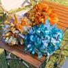 Cheerleading – Pompon