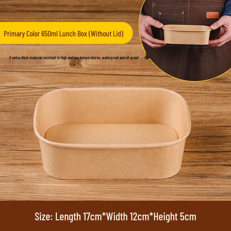 

MOLUONA Disposable Picnic & Bento Boxes