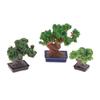 1/12 Dollhouse Simulation Mini Green Tree Potted Dollhouse Home Decorations Dolls House Micro Landscape Garden Ornament
