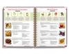 The Natural Healing Handbook - Simple Recipes and Remedies For Every Condition