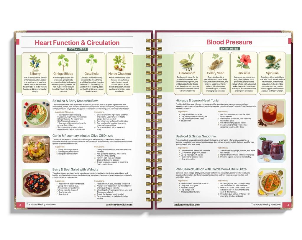 The Natural Healing Handbook - Simple Recipes and Remedies For Every Condition