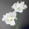 4 Heads Artificial Clivia Flowers Branch Real Touch Fake Flower  Outdoor Garden Decor