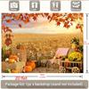 1 Autumn Harvest Thanksgiving Party Background - Vibrant Pumpkin Thanksgiving Decoration