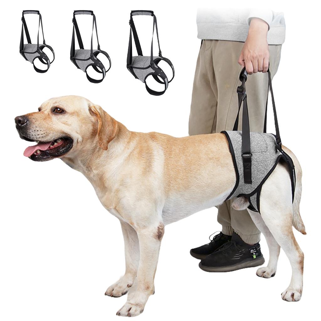 Imbracatura Comoda per Sollevare le Zampe Regolabile Tutore Posteriore per Zampe Cane Sistema di Supporto Corporeo Per Cane Compagno Canino Infortunato Disabile