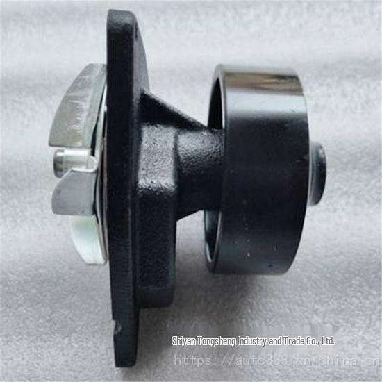 Cummins Engine Water Pump 3966841 for LiuGong 50 Loader & Excavator
