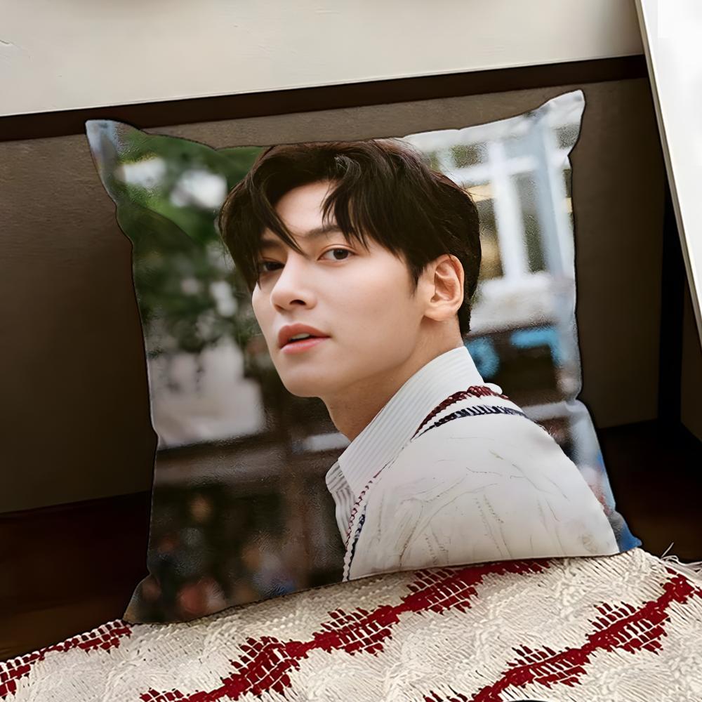 Ji CChang WWook Cushion Cover Reversible Soft Durable Pillow Cover Home Car MultiScene Use for Daily Comfort