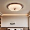 Oeny LED Ceiling Light