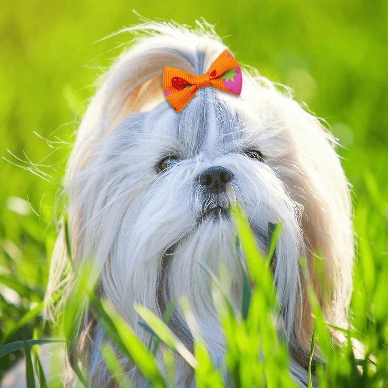 Pet Bow Tie Hair Clips, Pet Grooming Bows, Small Dog Hair Decorations, Small Dog & Cat Daily Wear Accessories, Suitable For Multiple Occasions
