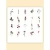 40sheets/Pack Vintage Flower Plants Notebook Decorative Stickers PET Decorative Stickers For Scrapbooking Label Diary Stationery Album Telephone