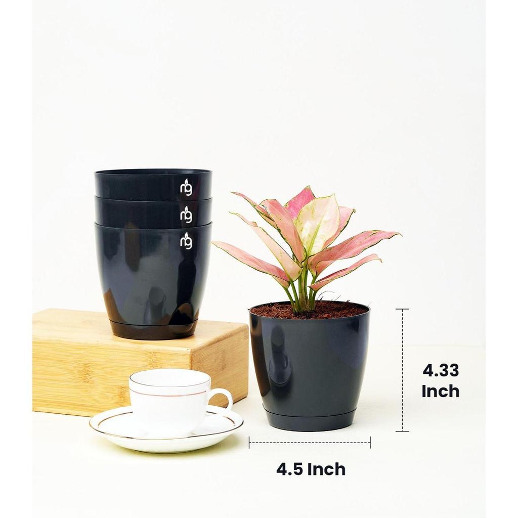 Combo of 6 Black Self Watering Plastic Pots with Glossy Finish (Size: 4.5IN * 4.33IN) | Low Maintenance Pots for Indoor, Balcony